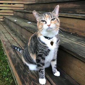 Meet your Posher, Laurie